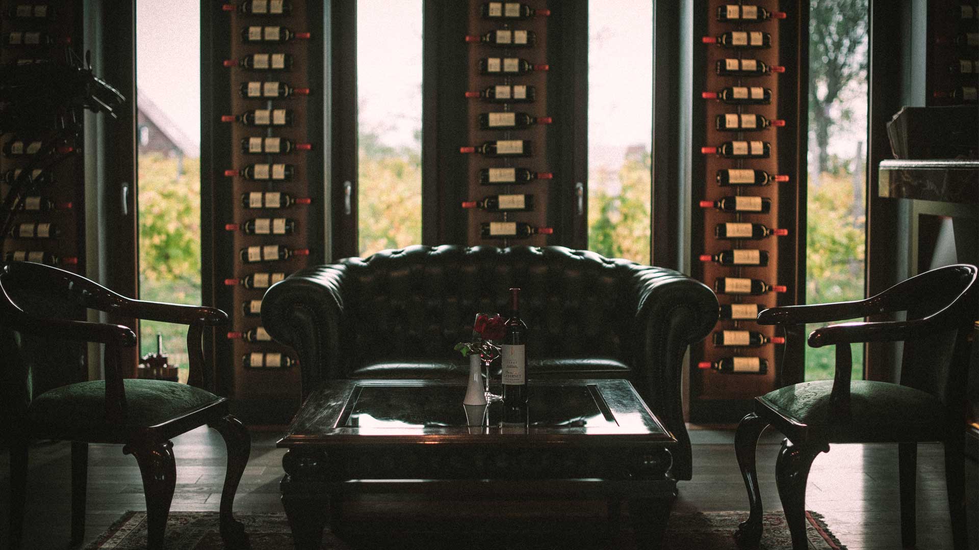 restoran vina