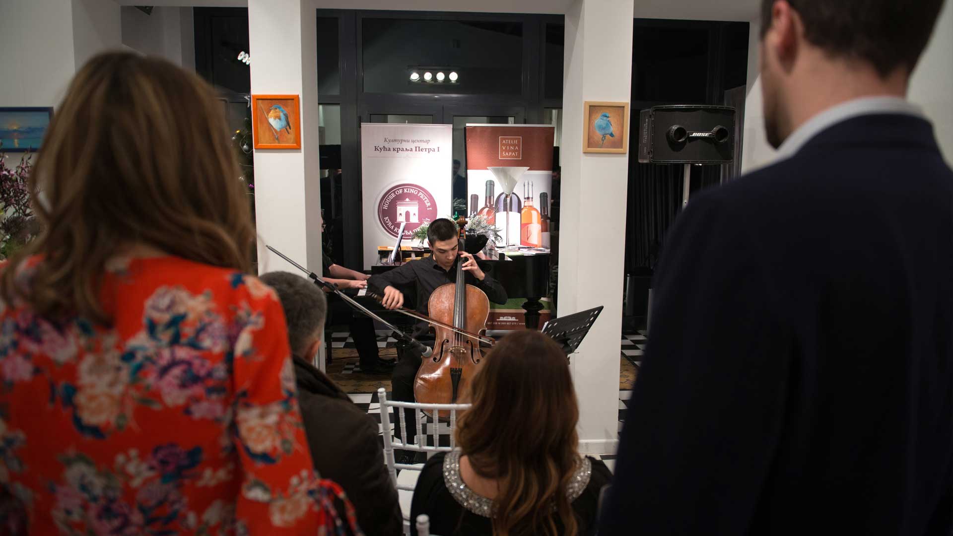 sapart violoncelo