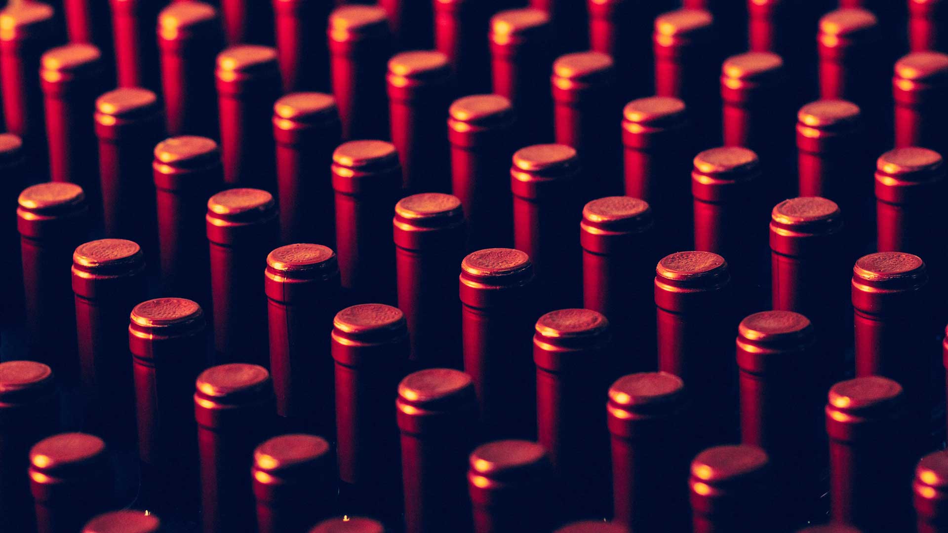 vinarija šapat vina